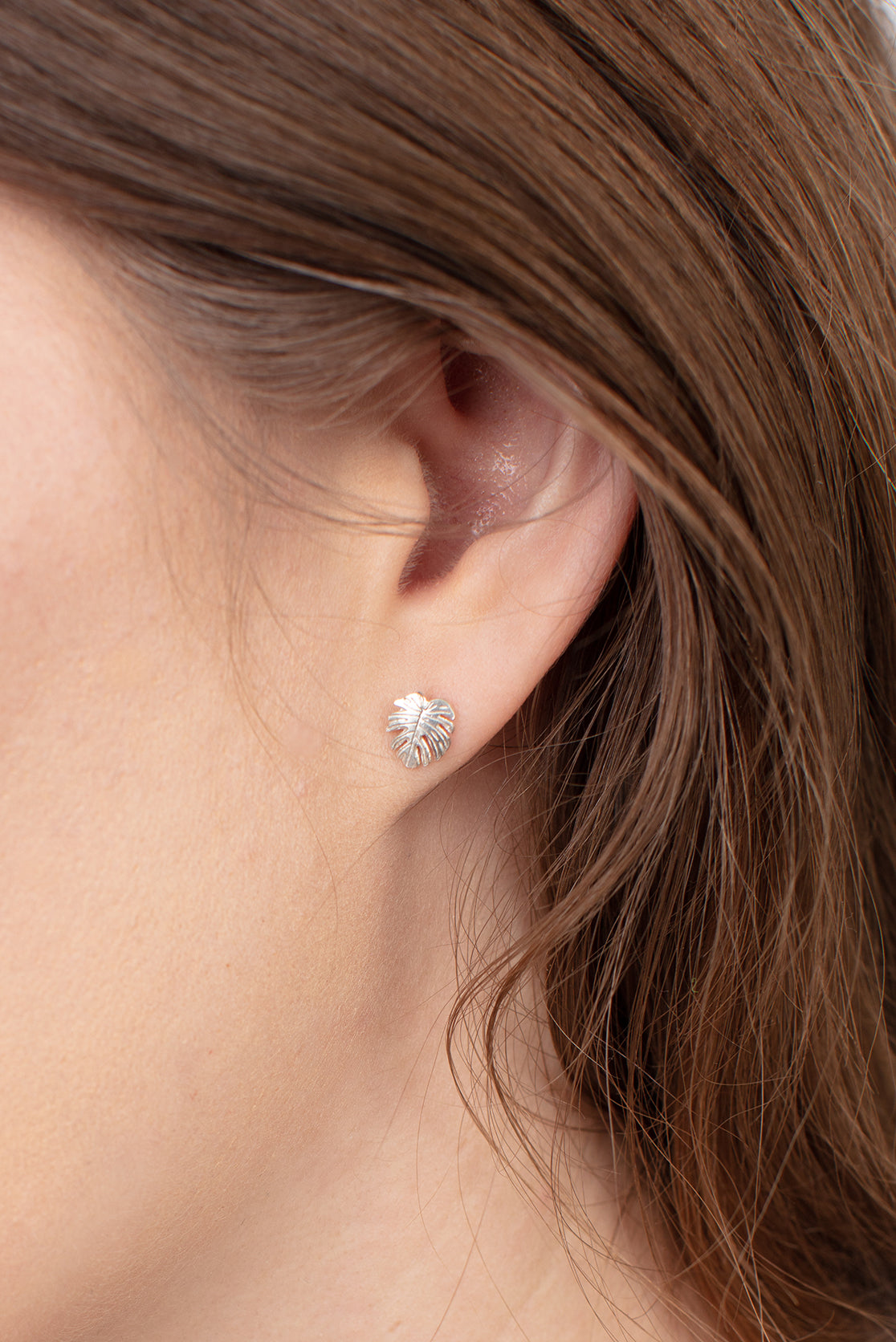 Monstera leaf stud earrings