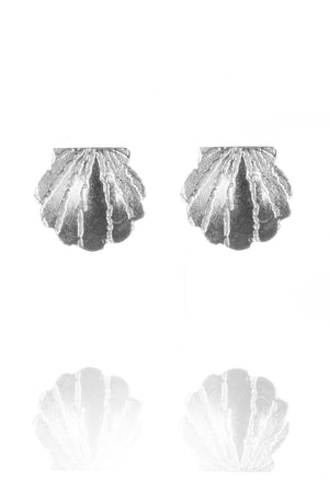 Clamshell Stud Earrings
