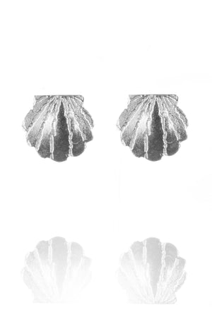 Clamshell Stud Earrings