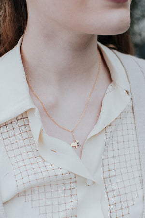 French bulldog on a lead necklace